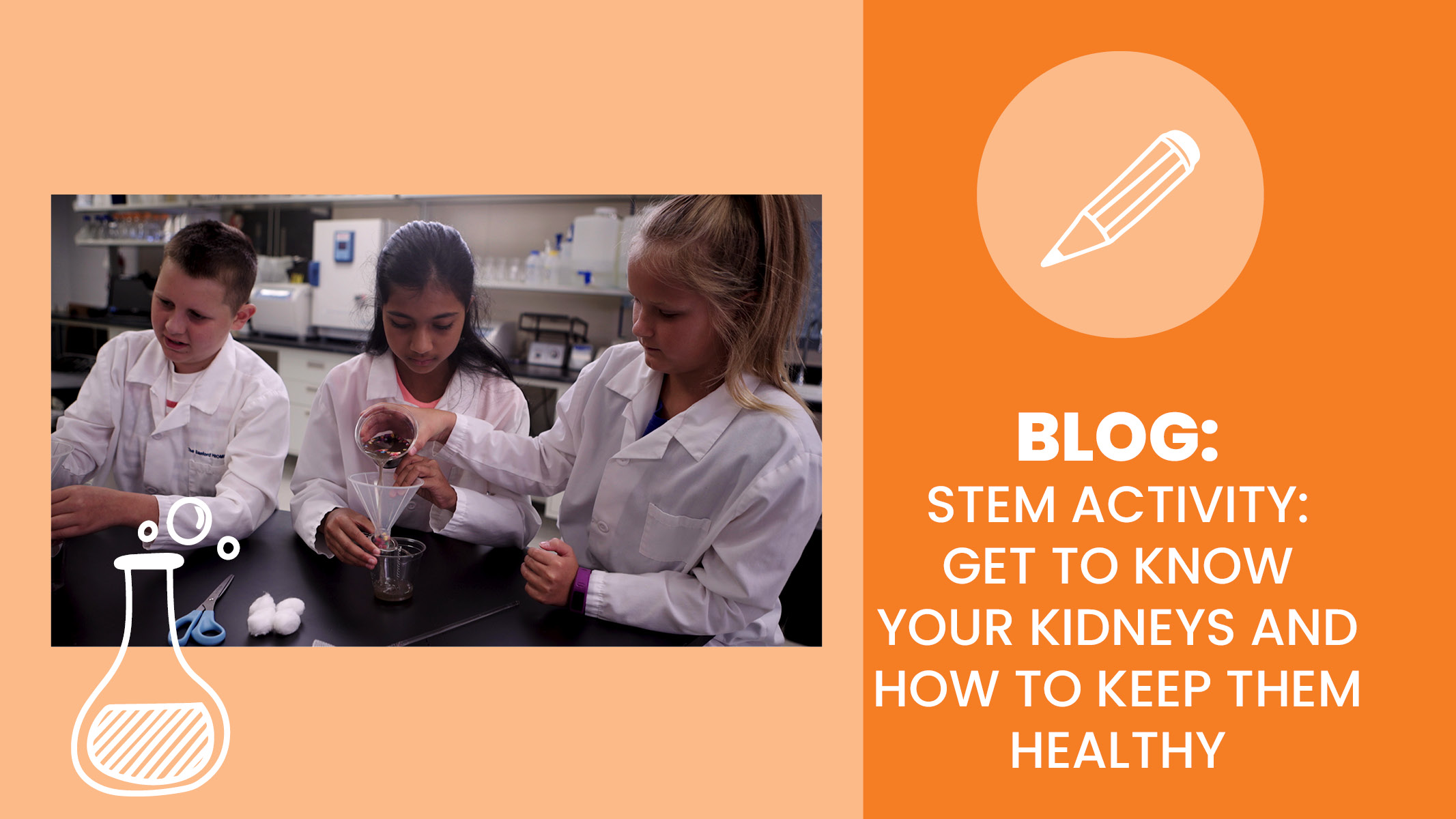 Group of students in lab coats conduct an experiment to learn about kidneys